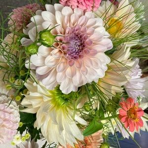 Meet your Posher, Mary